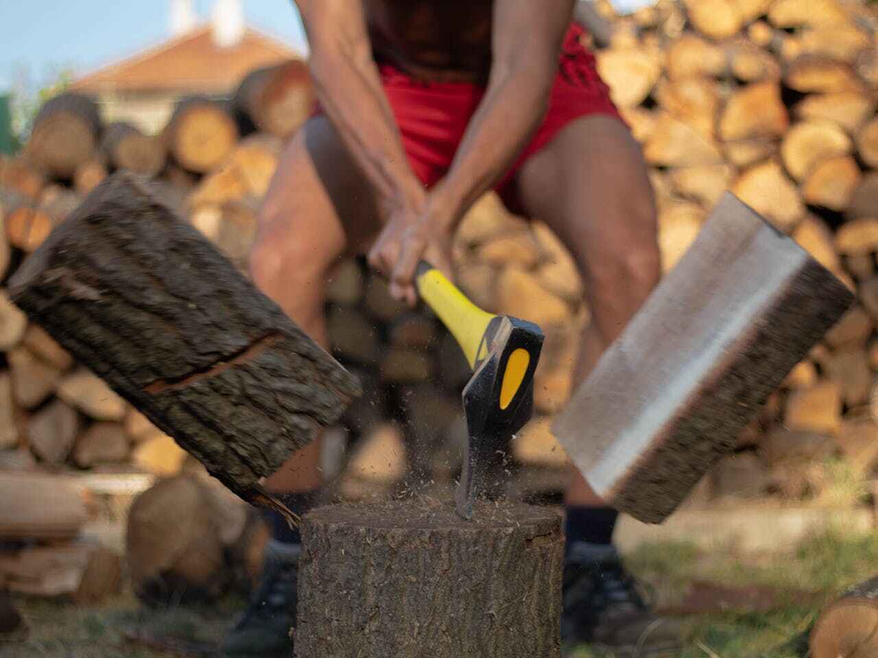 The Steps Involved in Our Tree Care Process in Ephraim, UT